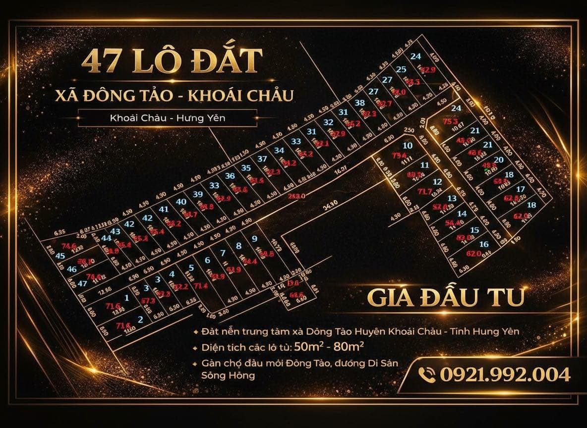 Mặt bằng 47 lô đất xã Đông Tảo Khoái Châu Hưng Yên – gia đầu tư